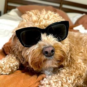 Kate Spade Sunglasses